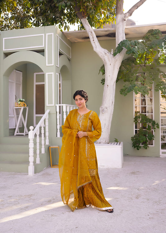 3-Piece Set – Organza & Silk Printed