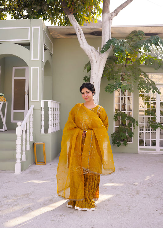3-Piece Set – Organza & Silk Printed